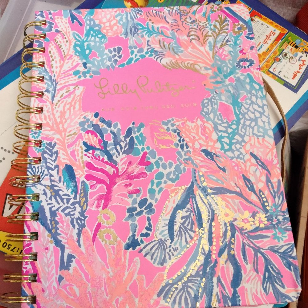 Lily Pulitzer Planner. Out of date but great for crafters.